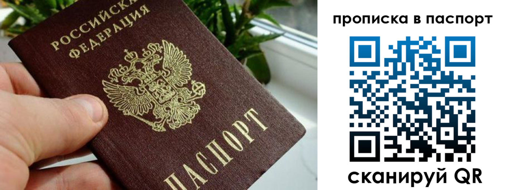 временная регистрация поиск в Болотном